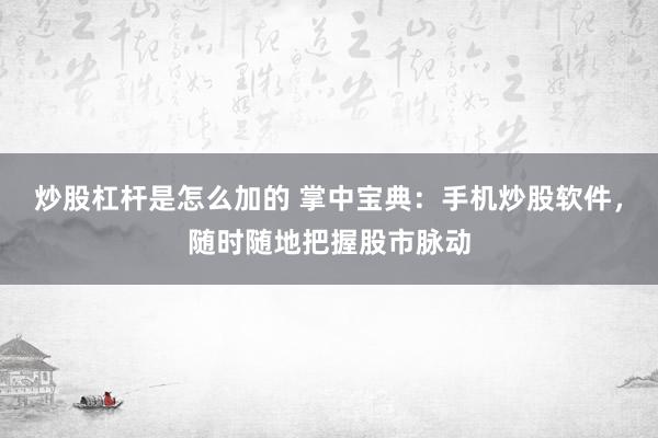 炒股杠杆是怎么加的 掌中宝典：手机炒股软件，随时随地把握股市脉动