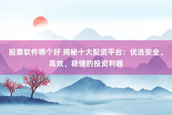 股票软件哪个好 揭秘十大配资平台：优选安全、高效、稳健的投资利器