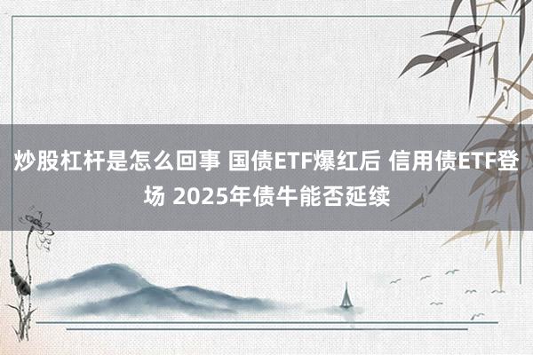 炒股杠杆是怎么回事 国债ETF爆红后 信用债ETF登场 2025年债牛能否延续