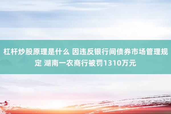 杠杆炒股原理是什么 因违反银行间债券市场管理规定 湖南一农商行被罚1310万元
