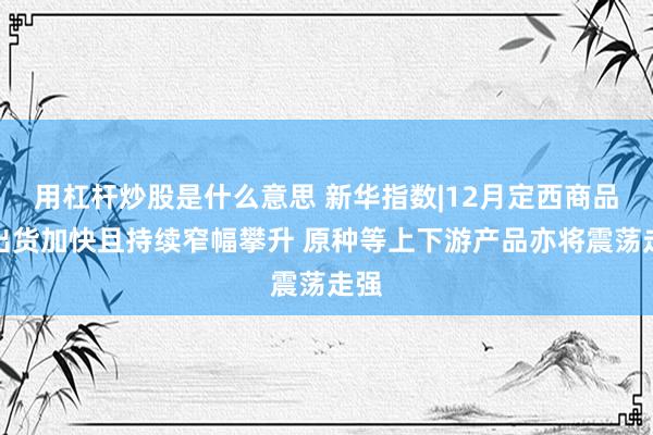 用杠杆炒股是什么意思 新华指数|12月定西商品薯出货加快且持续窄幅攀升 原种等上下游产品亦将震荡走强