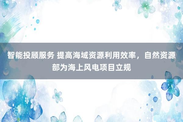 智能投顾服务 提高海域资源利用效率，自然资源部为海上风电项目立规