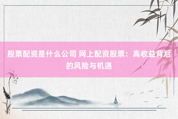 股票配资是什么公司 网上配资股票：高收益背后的风险与机遇