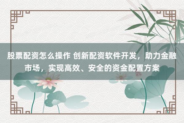 股票配资怎么操作 创新配资软件开发，助力金融市场，实现高效、安全的资金配置方案