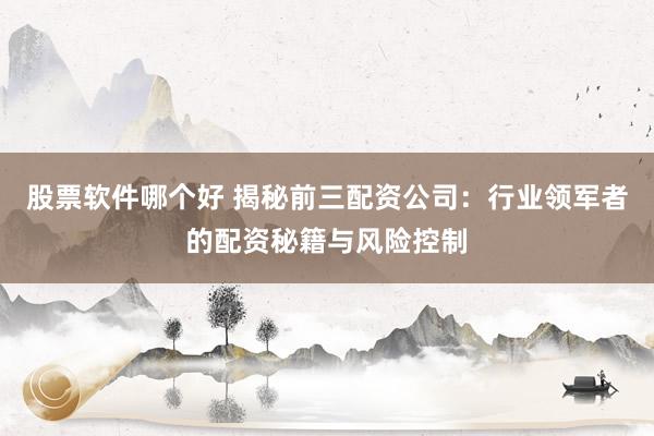 股票软件哪个好 揭秘前三配资公司：行业领军者的配资秘籍与风险控制