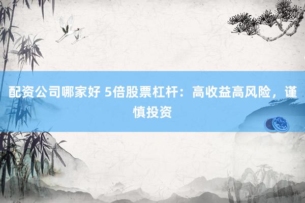 配资公司哪家好 5倍股票杠杆：高收益高风险，谨慎投资