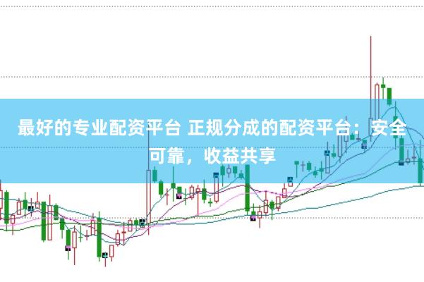 最好的专业配资平台 正规分成的配资平台：安全可靠，收益共享