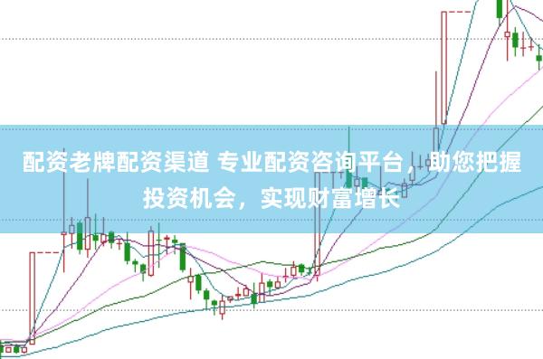 配资老牌配资渠道 专业配资咨询平台，助您把握投资机会，实现财富增长