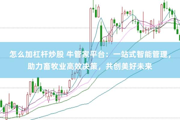 怎么加杠杆炒股 牛管家平台：一站式智能管理，助力畜牧业高效决策，共创美好未来