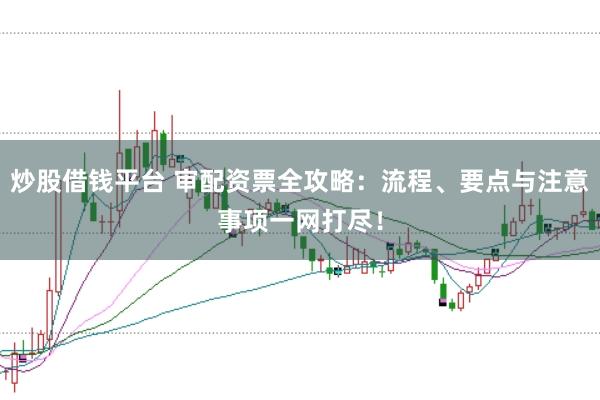 炒股借钱平台 审配资票全攻略：流程、要点与注意事项一网打尽！