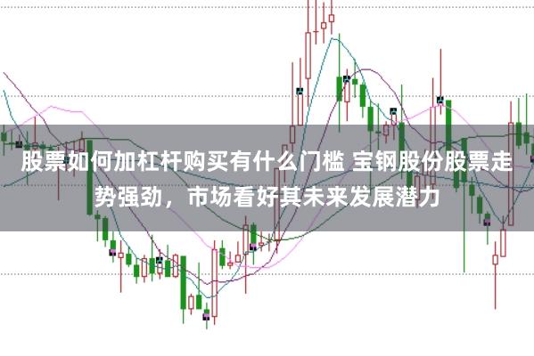 股票如何加杠杆购买有什么门槛 宝钢股份股票走势强劲，市场看好其未来发展潜力