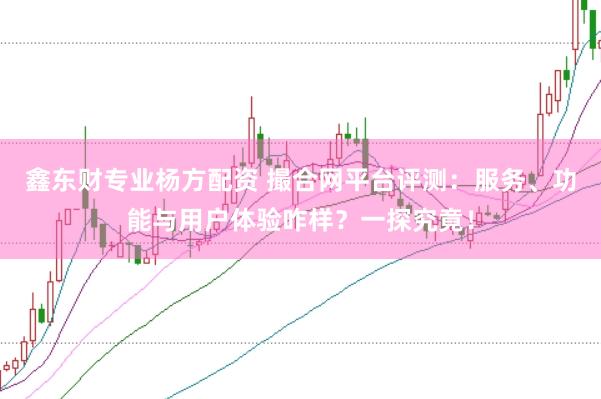 鑫东财专业杨方配资 撮合网平台评测：服务、功能与用户体验咋样？一探究竟！