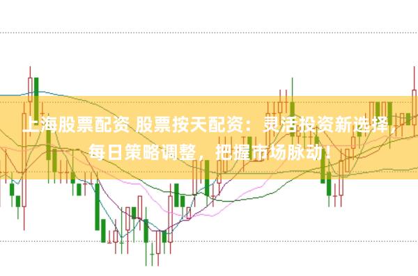 上海股票配资 股票按天配资：灵活投资新选择，每日策略调整，把握市场脉动！