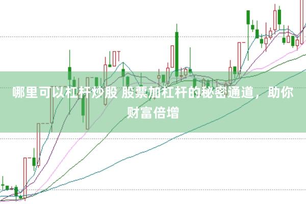 哪里可以杠杆炒股 股票加杠杆的秘密通道，助你财富倍增