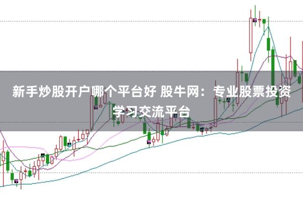 新手炒股开户哪个平台好 股牛网：专业股票投资学习交流平台
