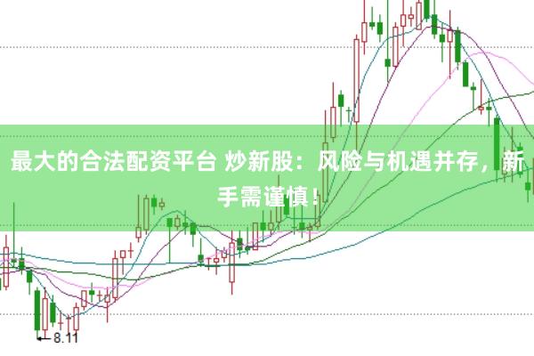 最大的合法配资平台 炒新股：风险与机遇并存，新手需谨慎！