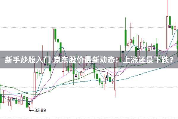 新手炒股入门 京东股价最新动态：上涨还是下跌？