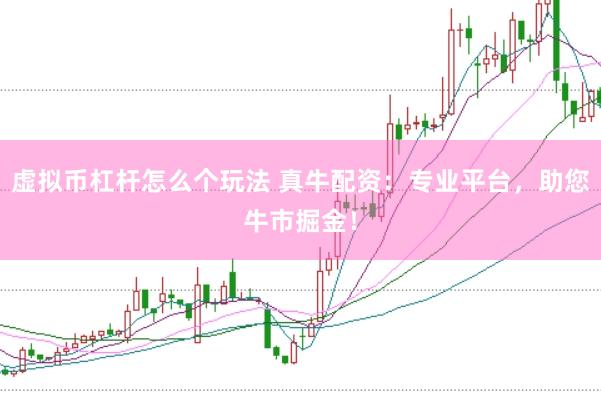 虚拟币杠杆怎么个玩法 真牛配资：专业平台，助您牛市掘金！