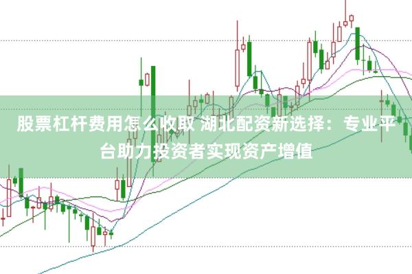 股票杠杆费用怎么收取 湖北配资新选择：专业平台助力投资者实现资产增值