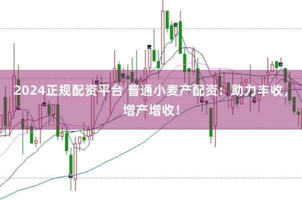 2024正规配资平台 普通小麦产配资：助力丰收，增产增收！
