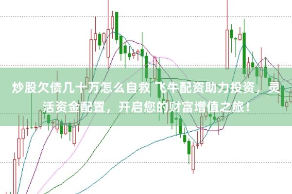 炒股欠债几十万怎么自救 飞牛配资助力投资，灵活资金配置，开启您的财富增值之旅！