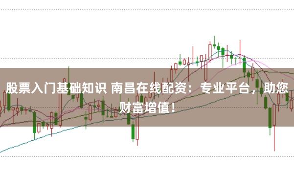 股票入门基础知识 南昌在线配资：专业平台，助您财富增值！