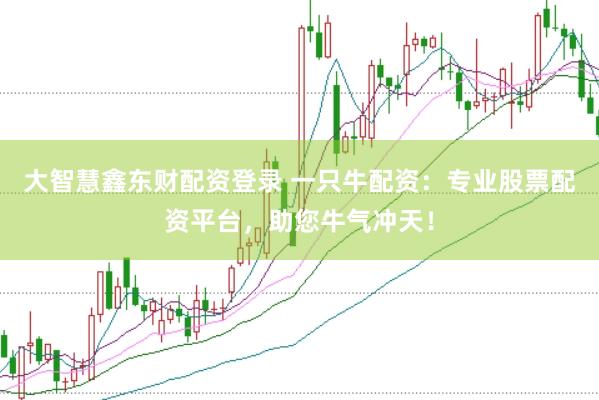 大智慧鑫东财配资登录 一只牛配资：专业股票配资平台，助您牛气冲天！