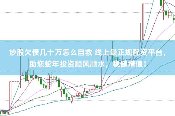 炒股欠债几十万怎么自救 线上最正规配资平台，助您蛇年投资顺风顺水，稳健增值！