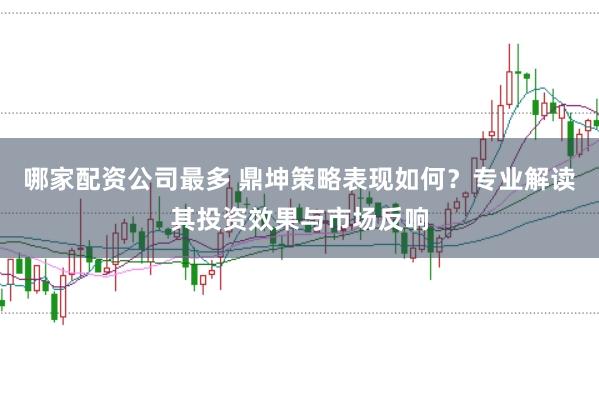 哪家配资公司最多 鼎坤策略表现如何？专业解读其投资效果与市场反响