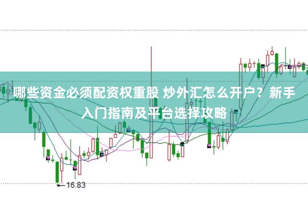 哪些资金必须配资权重股 炒外汇怎么开户？新手入门指南及平台选择攻略