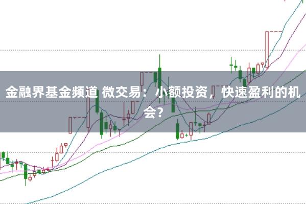 金融界基金频道 微交易：小额投资，快速盈利的机会？