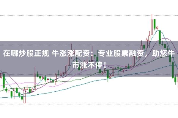在哪炒股正规 牛涨涨配资：专业股票融资，助您牛市涨不停！