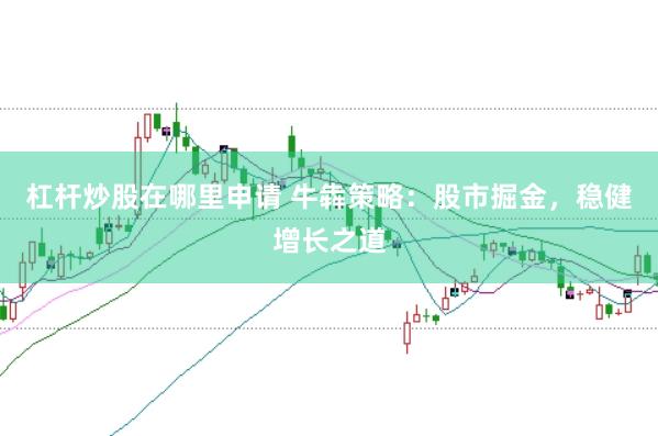 杠杆炒股在哪里申请 牛犇策略：股市掘金，稳健增长之道