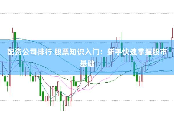 配资公司排行 股票知识入门：新手快速掌握股市基础