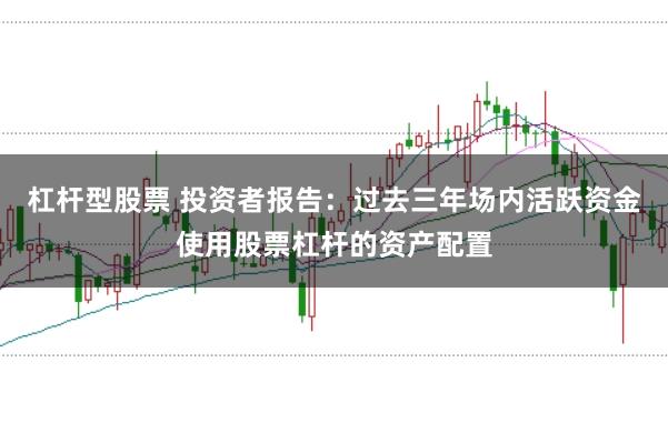 杠杆型股票 投资者报告：过去三年场内活跃资金使用股票杠杆的资产配置