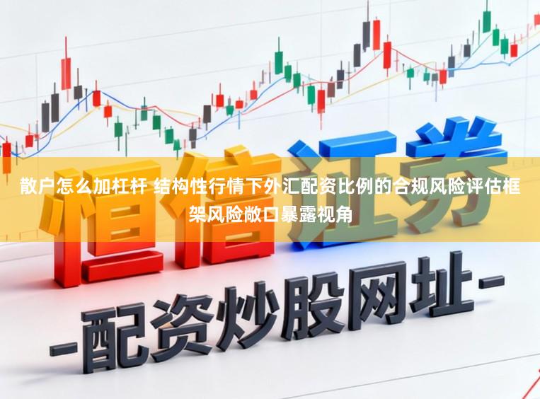 散户怎么加杠杆 结构性行情下外汇配资比例的合规风险评估框架风险敞口暴露视角