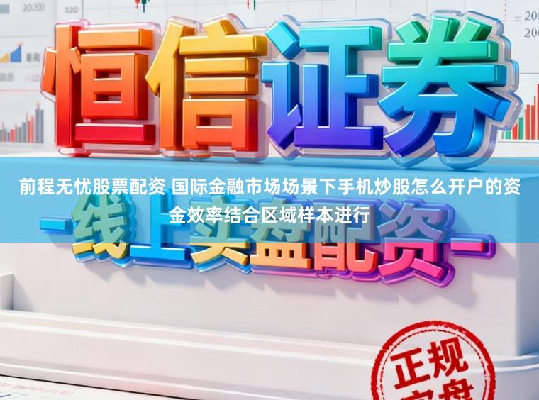 前程无忧股票配资 国际金融市场场景下手机炒股怎么开户的资金效率结合区域样本进行