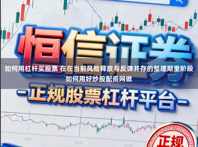 如何用杠杆买股票 在在当前风险释放与反弹并存的整理期里阶段如何用好炒股配资网做